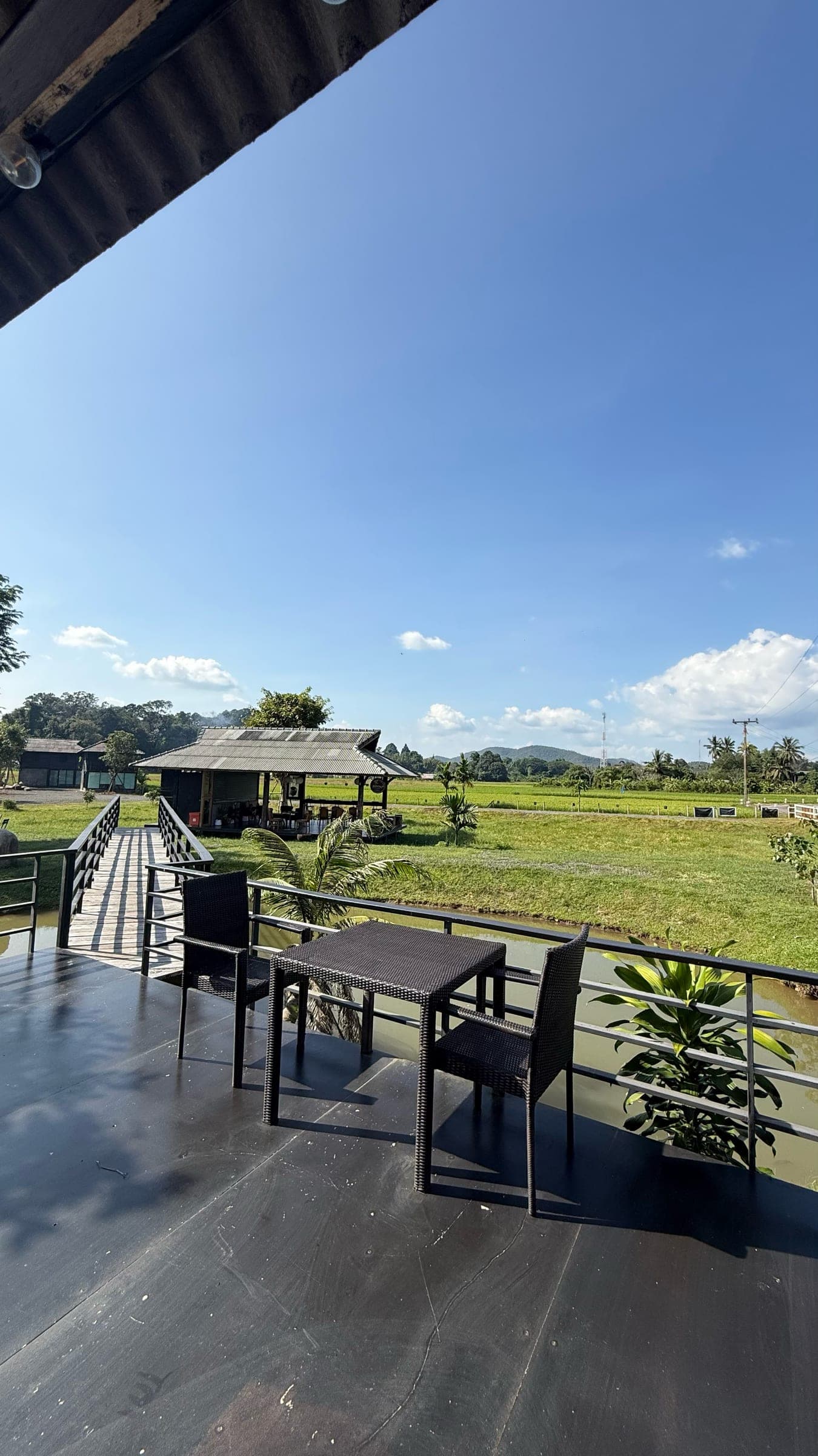 Green rice paddies seen from the deck of the cafe โรงนา ณ โป่งกุ่ม outside Chiang Mai, with a thatched sala across the field