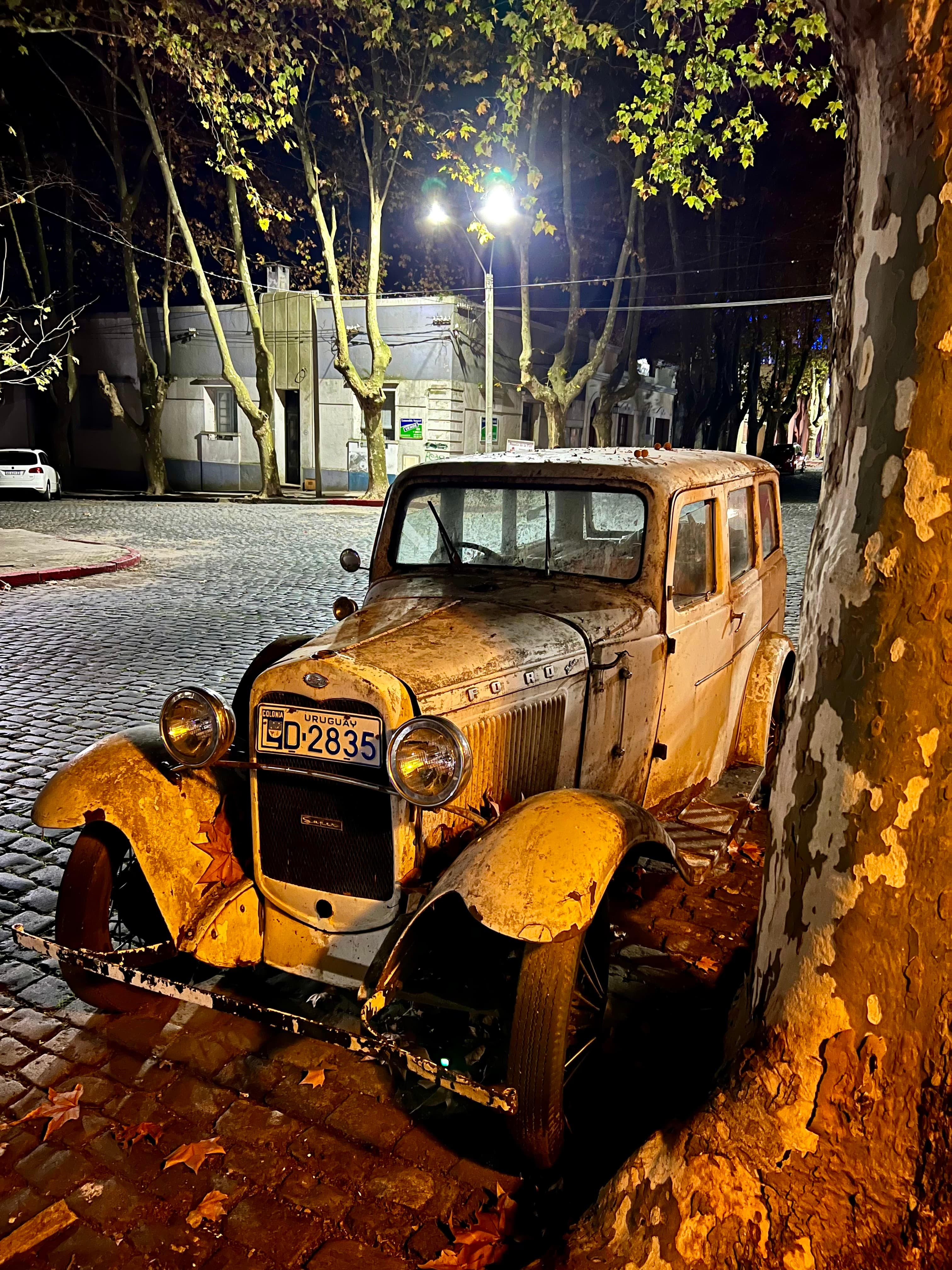 Rusted 1930s car parked under a plane tree on a cobblestone street in Colonia's historic quarter