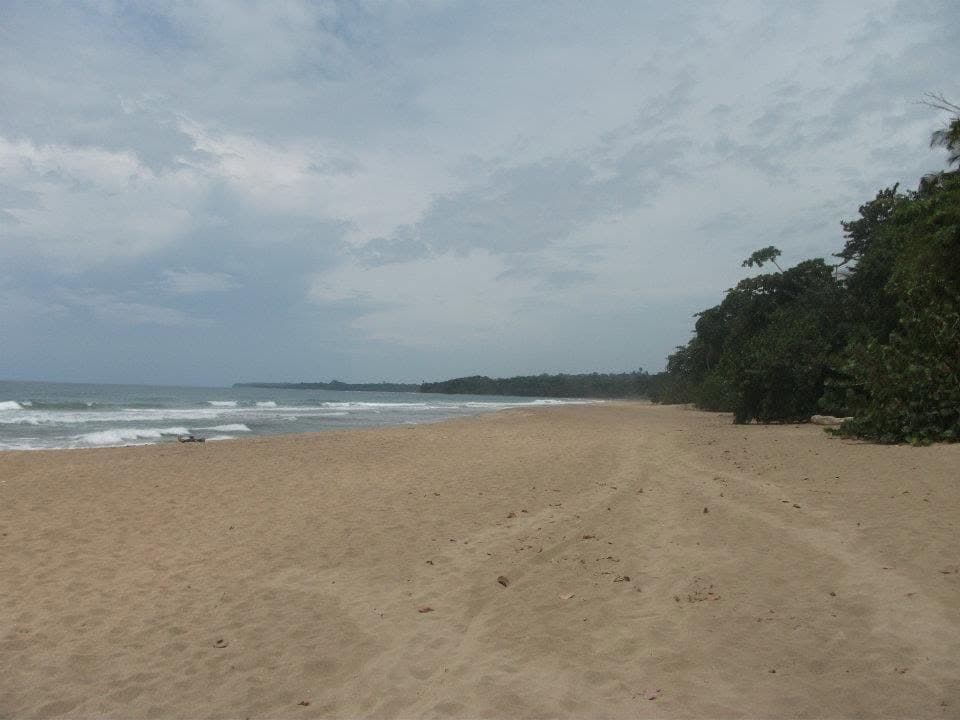 An empty sand beach curving along the Caribbean coast with jungle growing to the shoreline under a cloudy sky near Puerto Viejo
