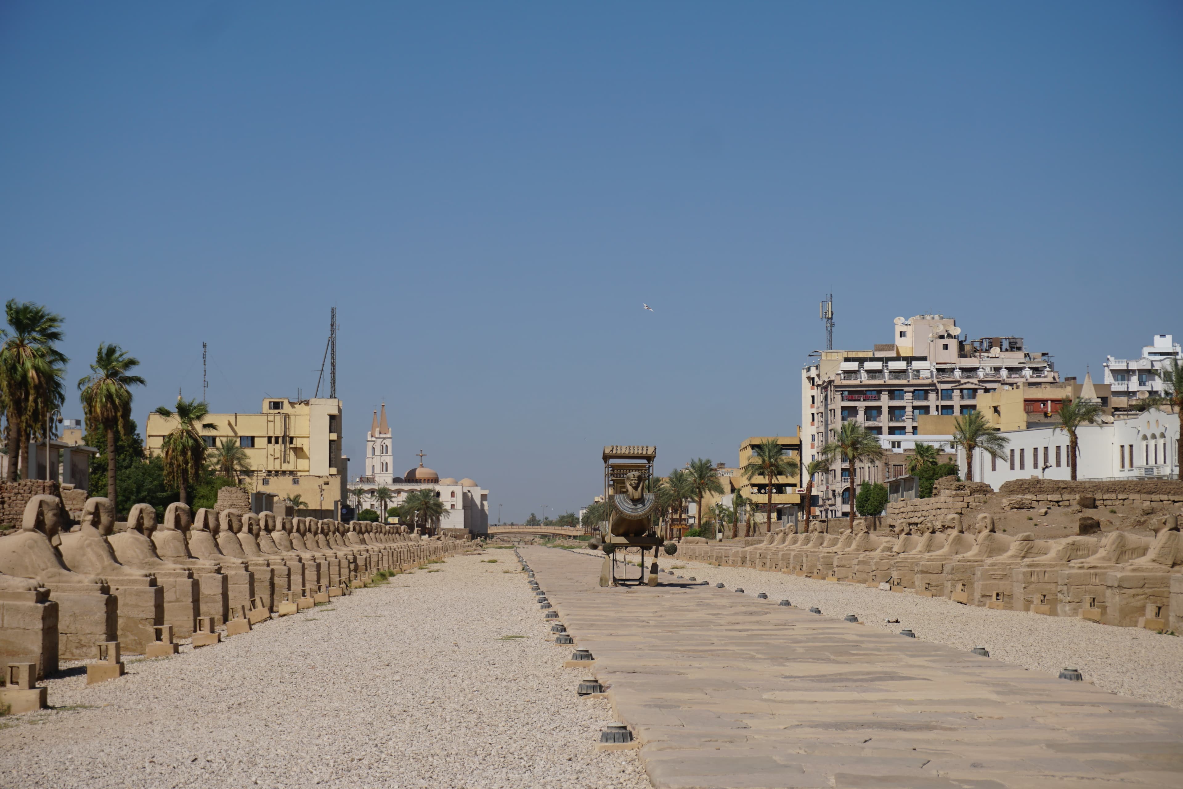 The Avenue of Sphinxes, the ceremonial road linking Luxor Temple to Karnak