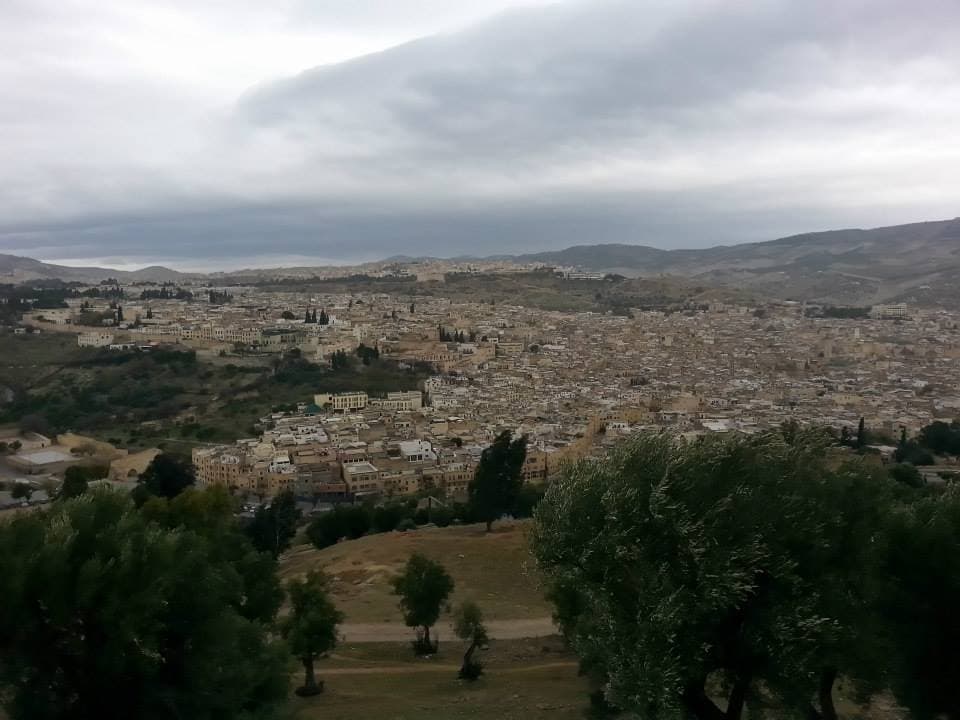 The packed rooftops of Fes spreading across the valley under a low gray sky, seen from the olive-covered hills above