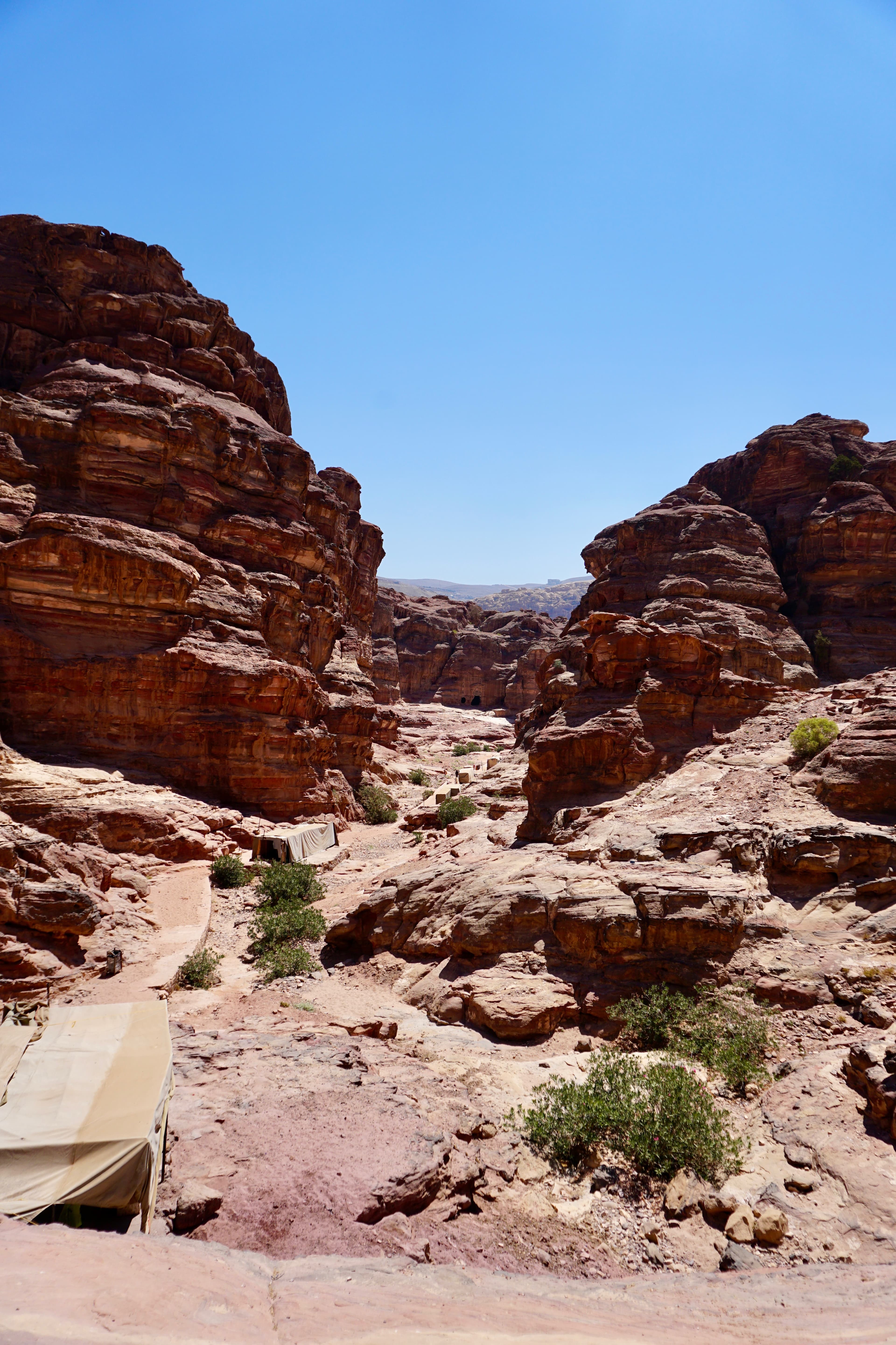 A rock-cut trail winding through the sandstone canyons of Petra