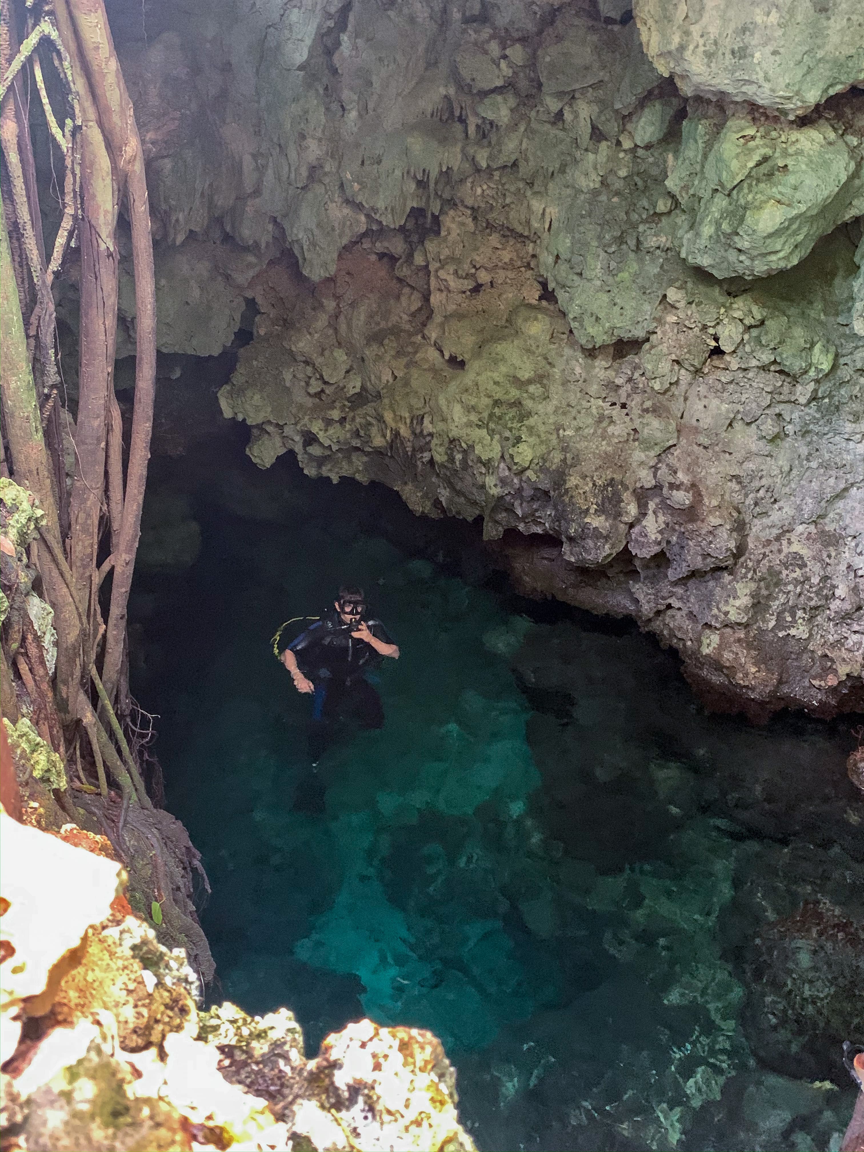 A scuba diver in the clear turquoise water of a flooded limestone cenote with tree roots and rock overhangs near Puerto Plata
