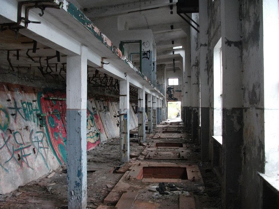 Concrete piers of the Hara submarine base reaching into the bay, northern Estonia