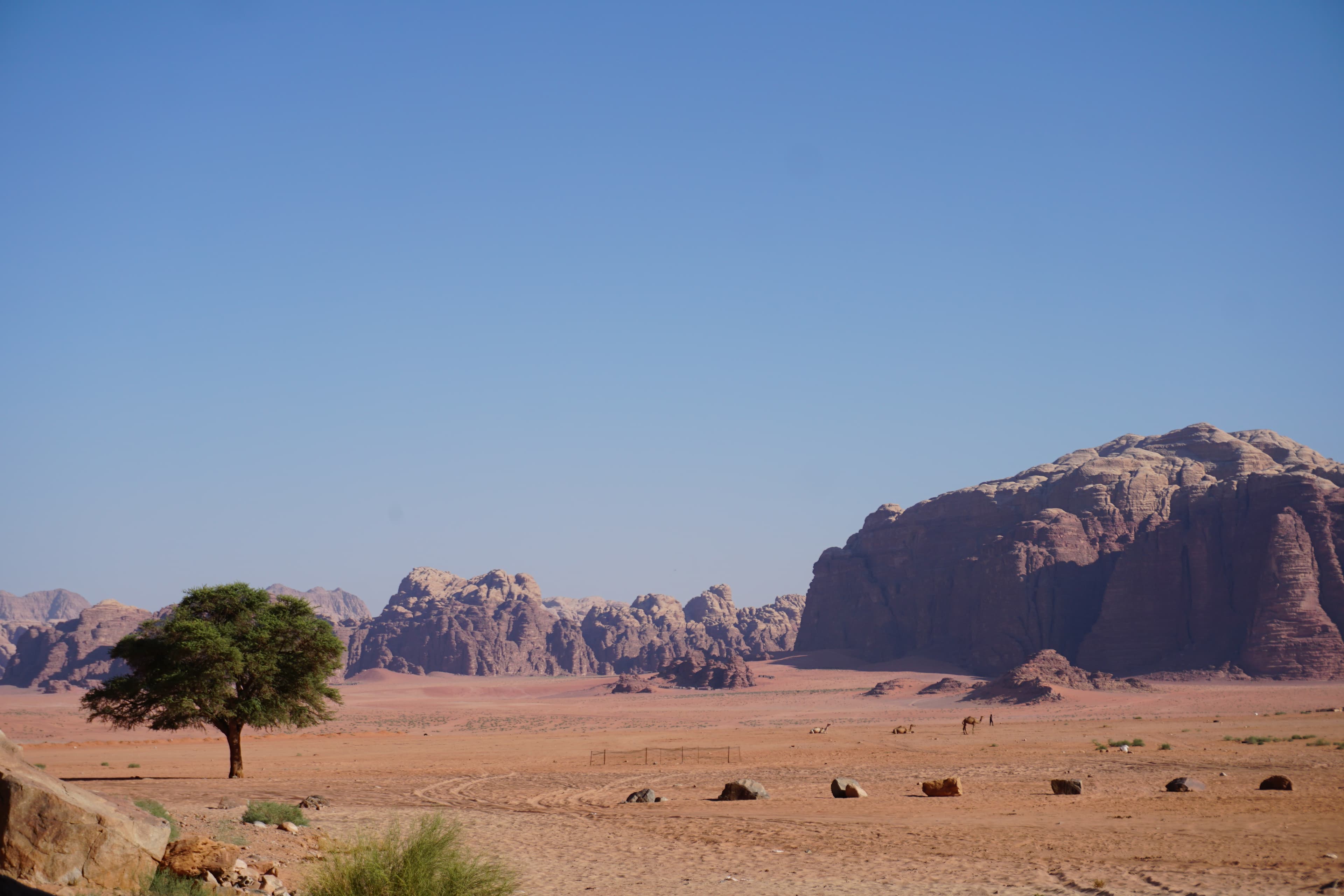 Wadi Rum cover image, Jordan